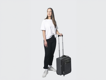 17IN LUGGAGE