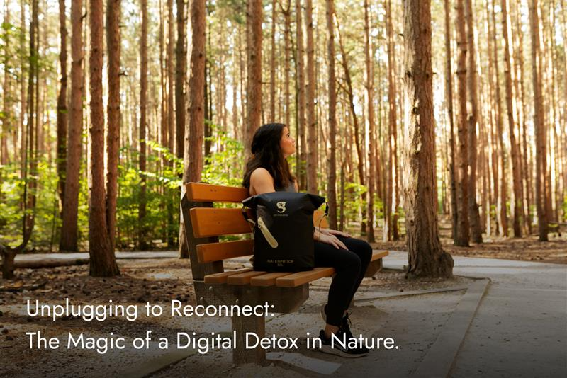 Reconnect with Nature: The Power of a Digital Detox