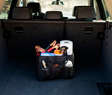 TRUNK CARRY TOTE